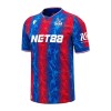 Maillot de Supporter Crystal Palace Domicile 2024-25 Pour Enfant